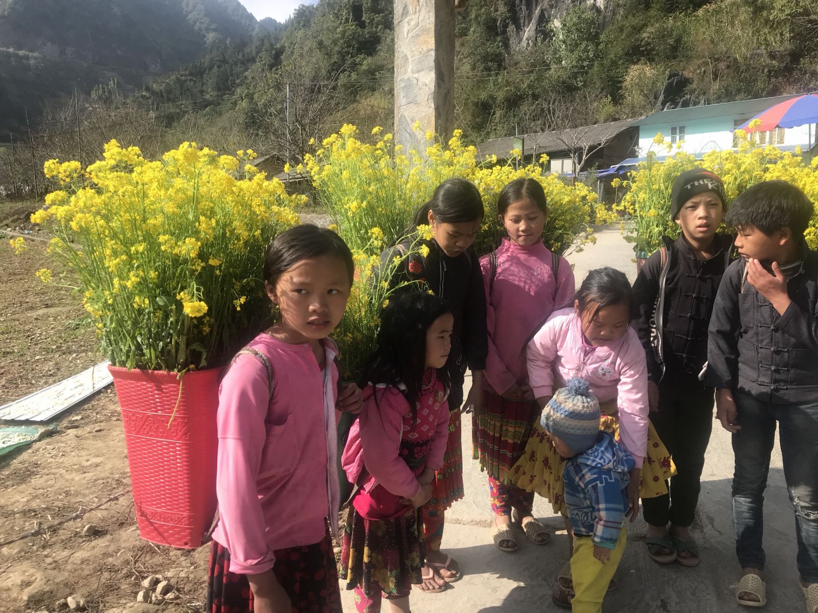 Little childrens at Pho Cao commune,Dong Van District, Ha Giang